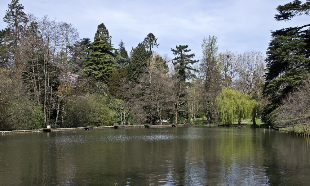 Stratford Park