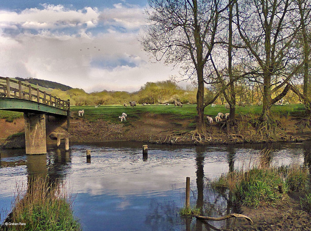 Stour Valley Spring Shillingstone