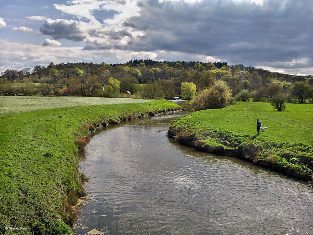 Stour Valley Spring North Dorset