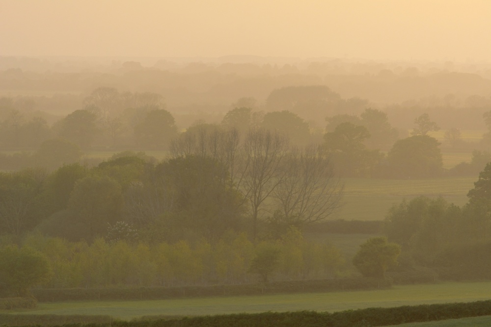 Photograph of Misty Evening, near Stratton Audley, Oxfordshire