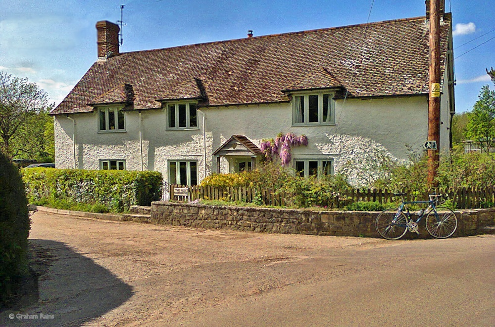 Stour Valley Spring, Dorset.
