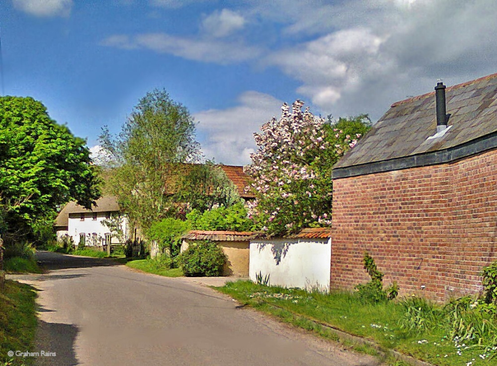 Stour Valley Spring, dorset.