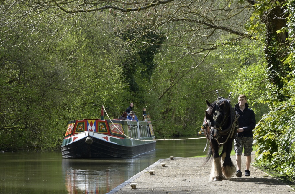 Horse-Drawn Narrowboat on the Kennet and Avon Canal at Hemstead near Newbury, Berkshire