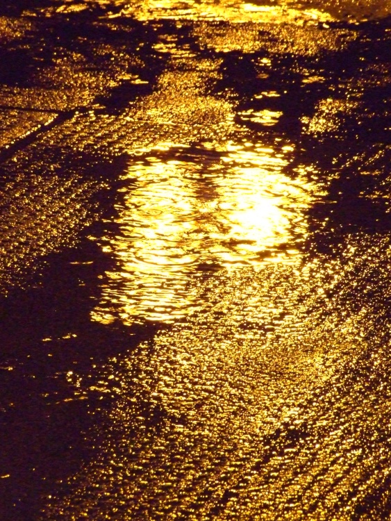 Golden Puddle at Banbury Railway Station