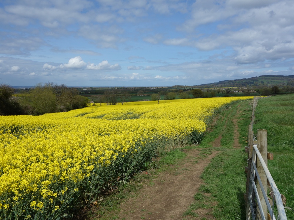 Cotswold Way