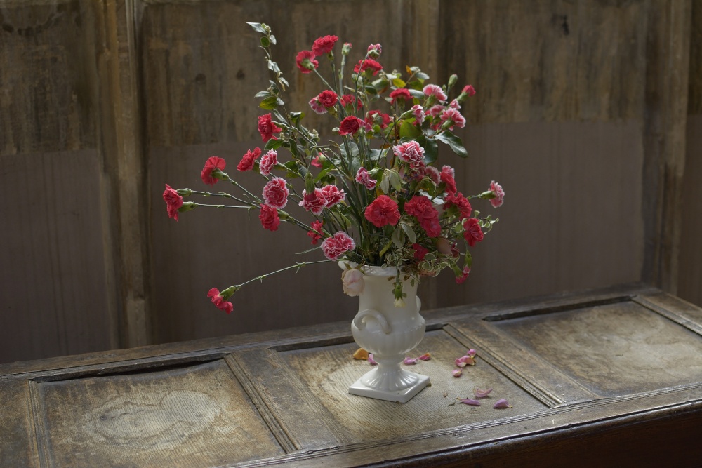 Photograph of Carnations, Deddington Church, Oxfordshire