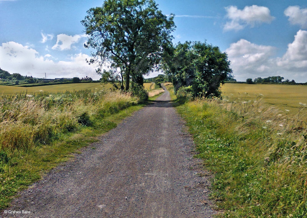 The North Dorset Trailway