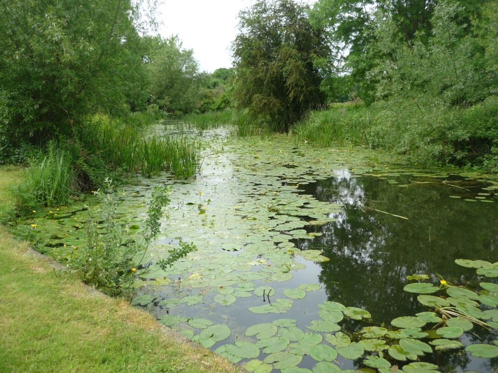 Disused upper arm at Foxton Locks