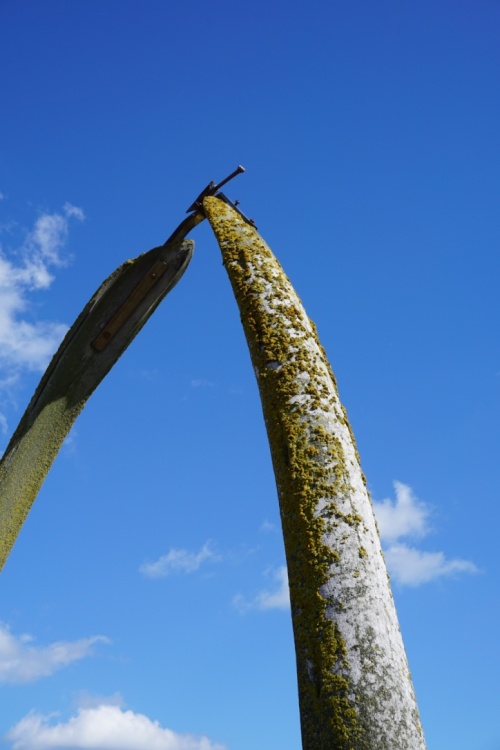 Whitby, Whale Bones