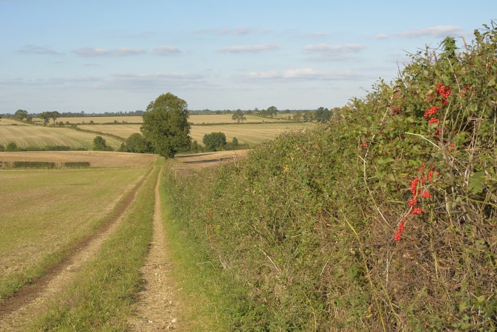 Photograph of Track near Souldern, Oxfordshire