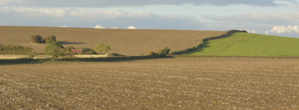 Photograph of Farmland near Marsh Gibbon, Buckinghamshire