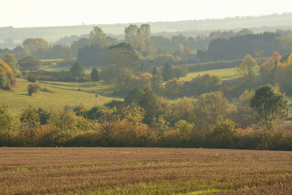 Autumn on the Wolds