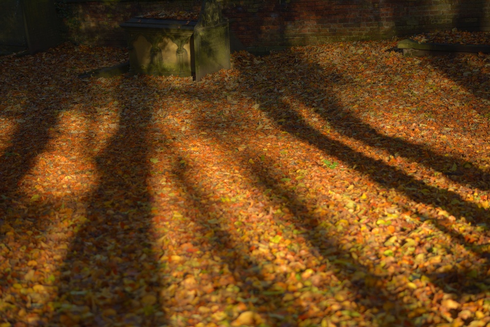 Old Churchyard, St Edward the Confessor, Leek, Staffordshire