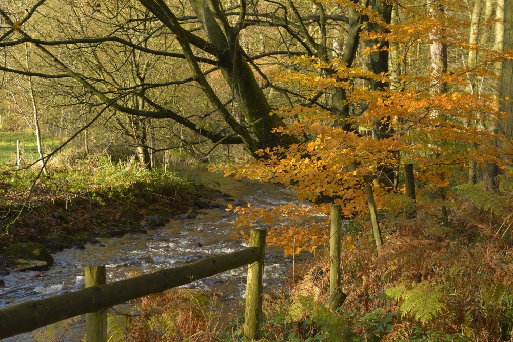 Upland Stream, The Peak District, Cheshire