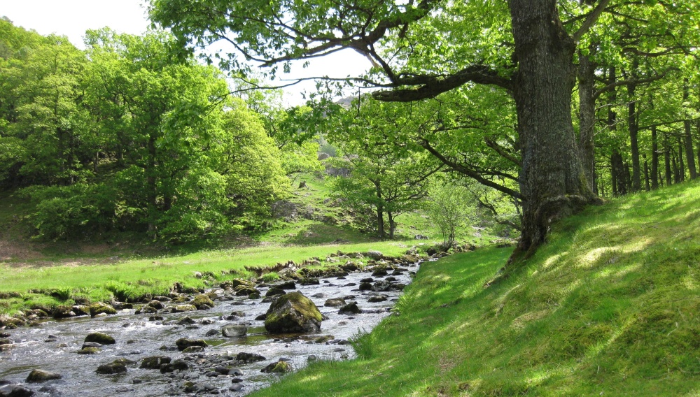Marvelous footpath on Watendlath beck