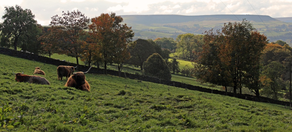 Peak District National Park