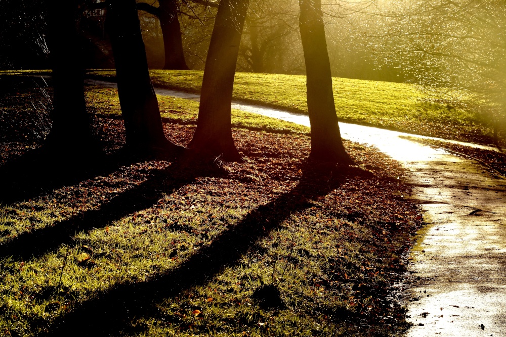 Brough Park, Leek, Staffordshire