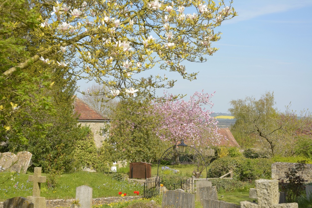 Photograph of Spring from the Churchyard, Stanton St.John, Oxfordshire