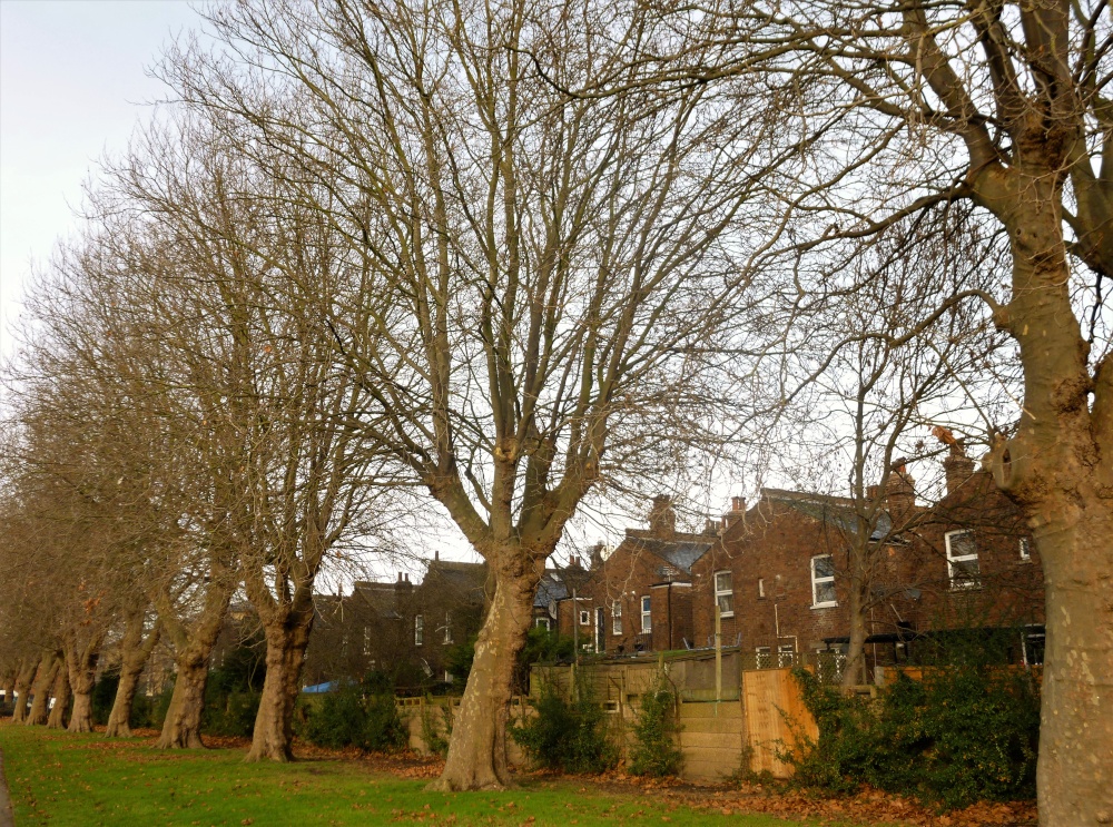 Stonebridge Rec. NW10