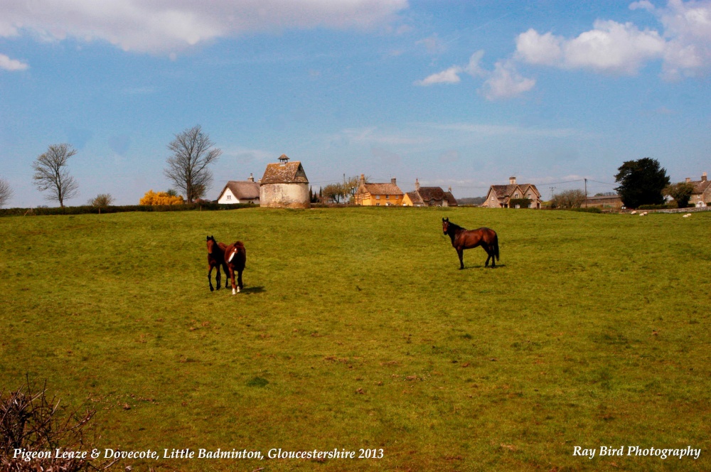 Pigeon Leaze Field, Little Badminton, Gloucestershire 2013