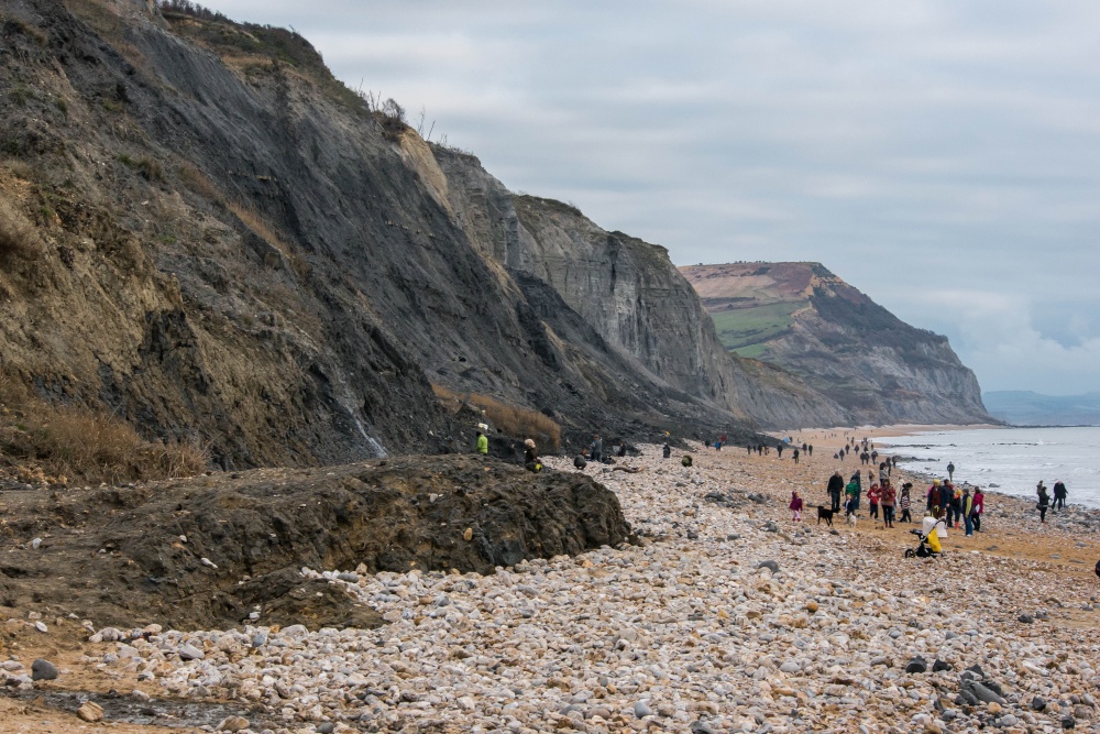 The Jurassic Coast at Charmouth