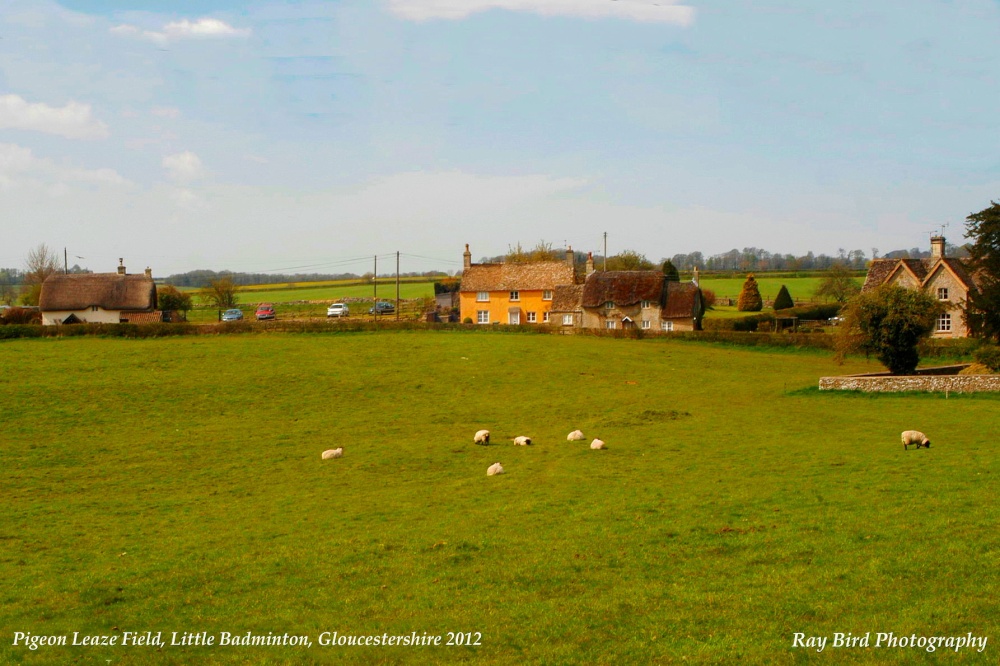 Pigeon Leaze Field, Little Badminton, Gloucestershire 2012