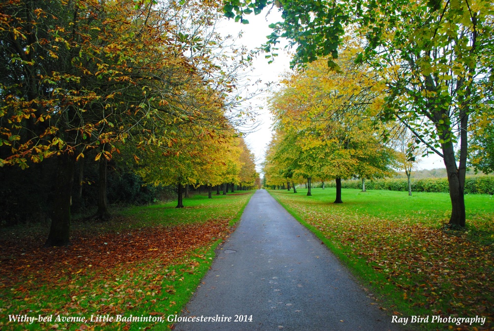 Withybed Road, Little Badminton, Gloucestershire 2014