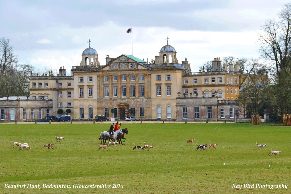 Beaufort Hunt, Badminton, Gloucestershire 2016