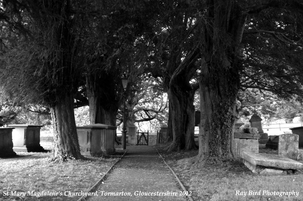 St Mary Magdelene Churchyard, Tormarton,  Gloucestershire 2012