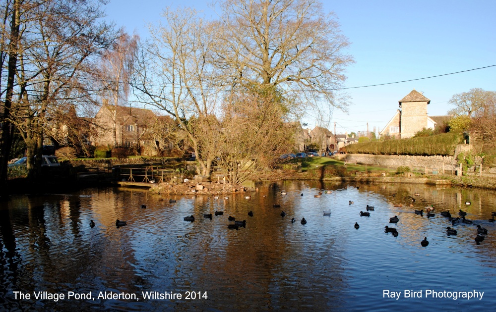 The Village Pond, Alderton, Wiltshire 2014