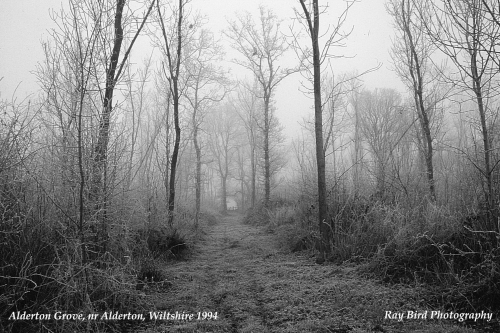 Alderton Grove, Alderton, Wiltshire 1994