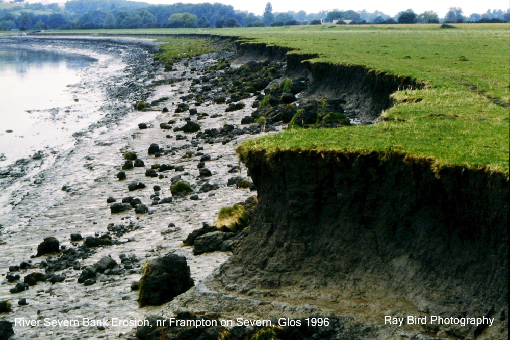 "Bank Erosion, River Severn, nr Frampton on Severn, Gloucestershire