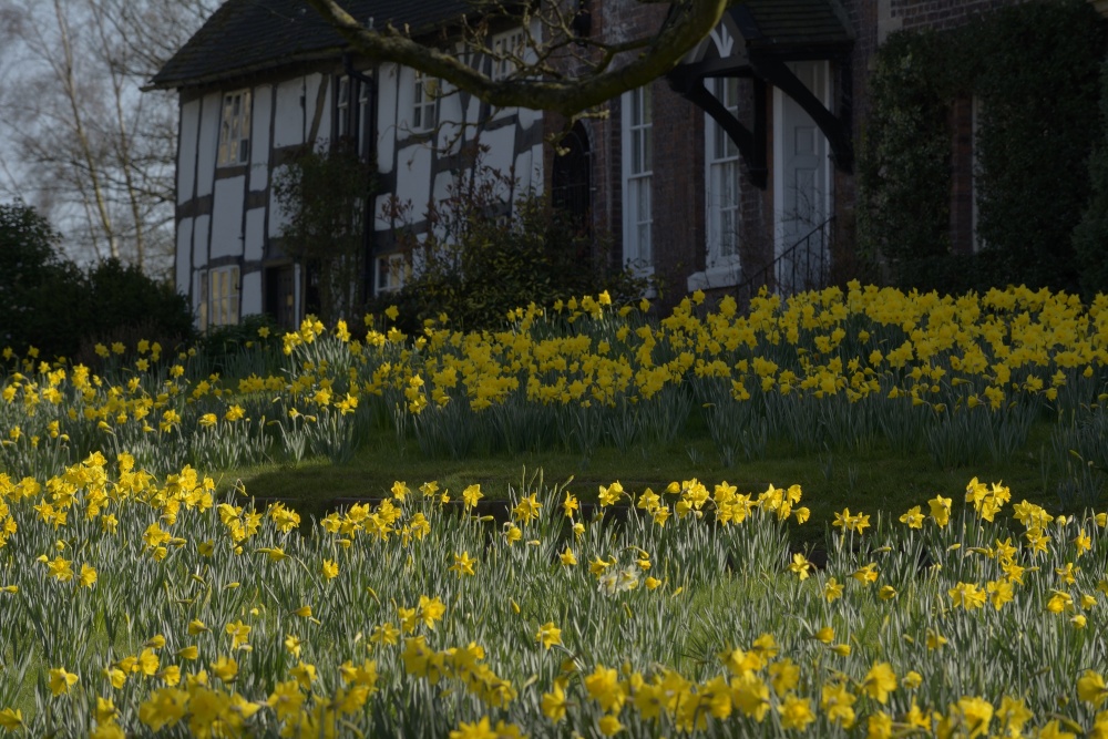 The Village Green, Astbury, Cheshire