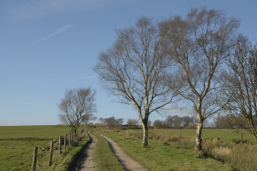 Photograph of Farm Track on Gun Hill near Meerbrook, above Leek, Staffordshire