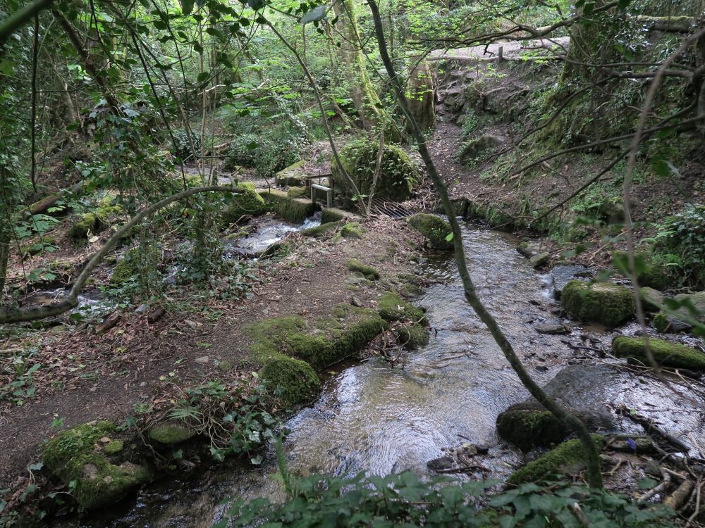 Kennall Vale Nature Reserve