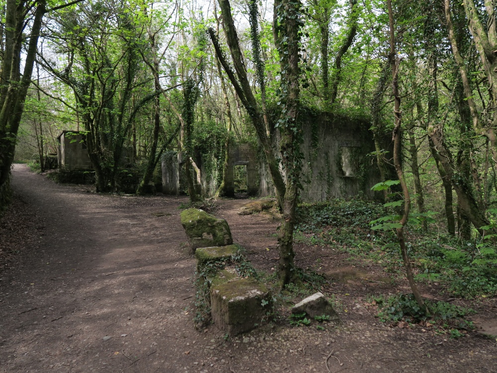 Kennall Vale Nature Reserve