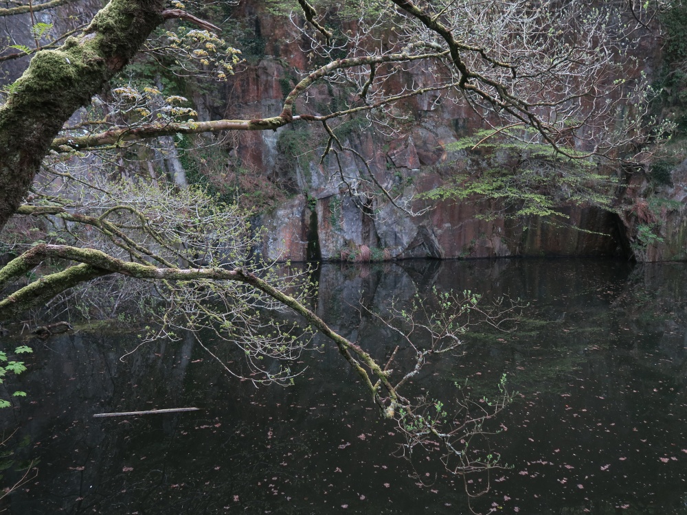 Kennall Vale Nature Reserve