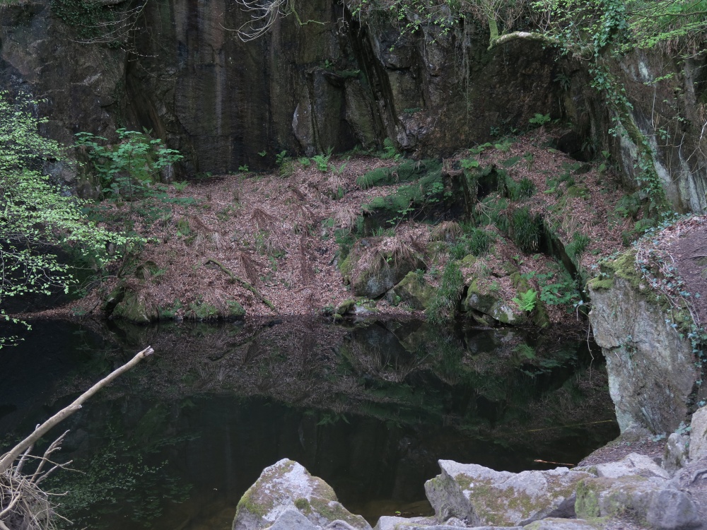 Kennall Vale Nature Reserve