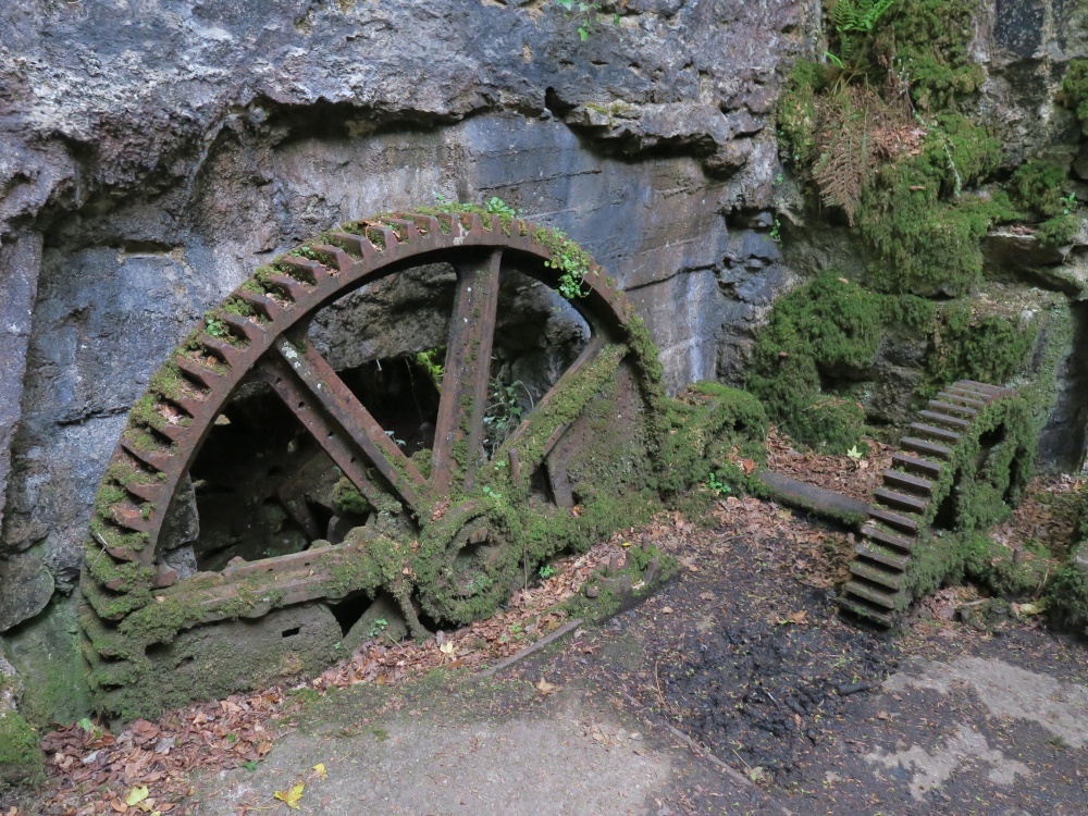 Kennall Vale Nature Reserve photo by Ted