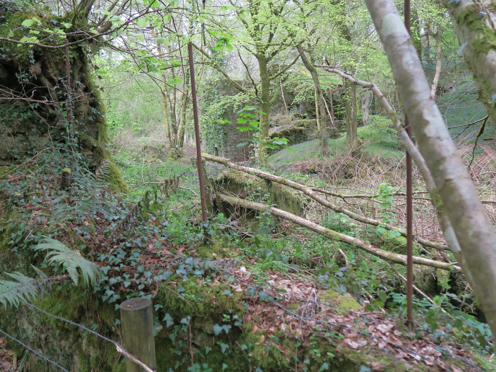 Kennall Vale Nature Reserve