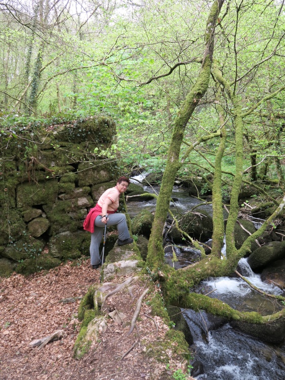 Kennall Vale Nature Reserve