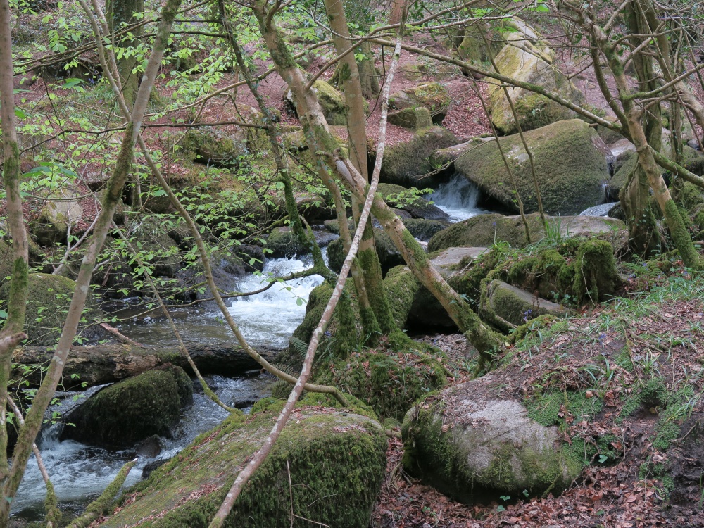Kennall Vale Nature Reserve