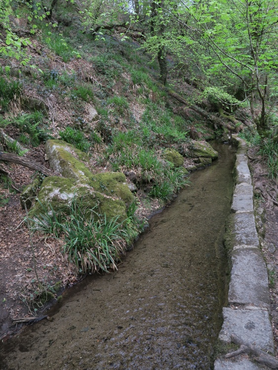 Kennall Vale Nature Reserve