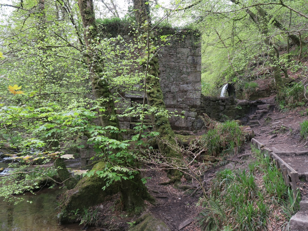 Kennall Vale Nature Reserve photo by Ted