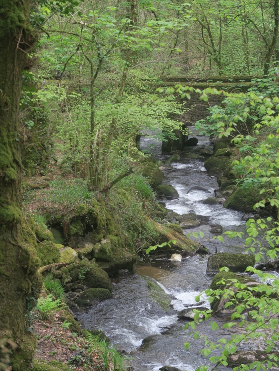 Kennall Vale Nature Reserve