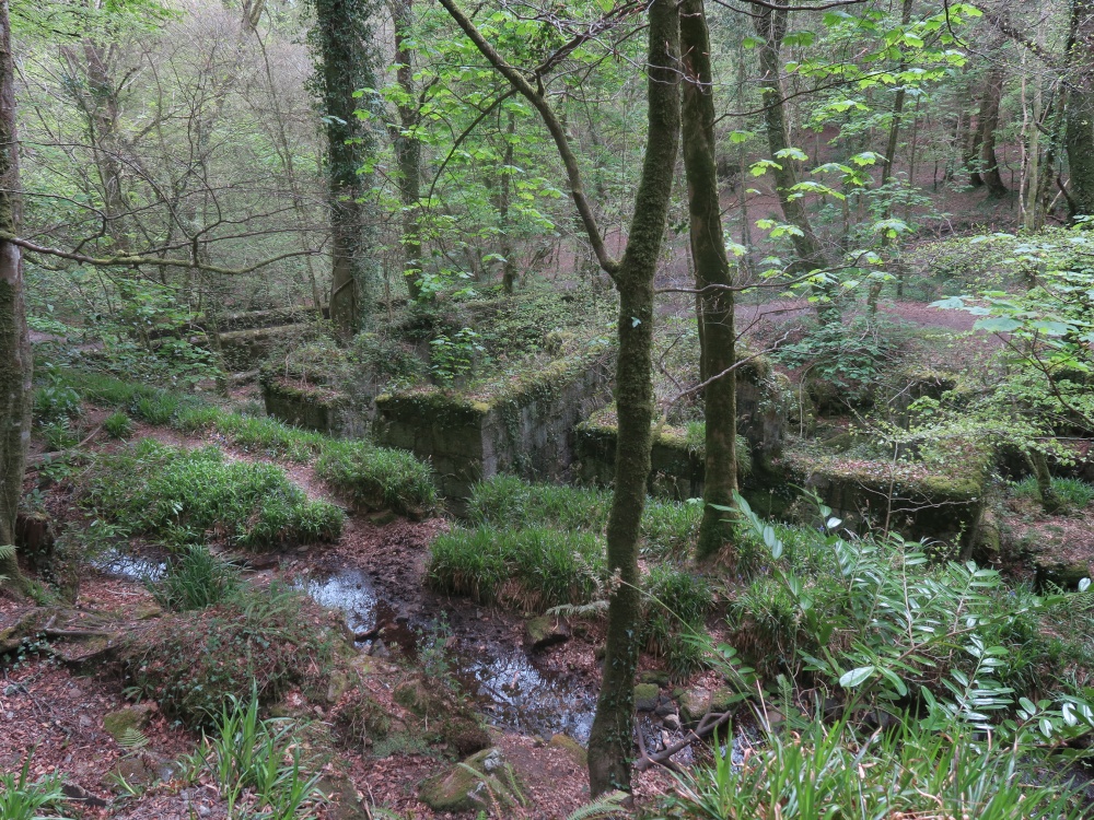 Kennall Vale Nature Reserve