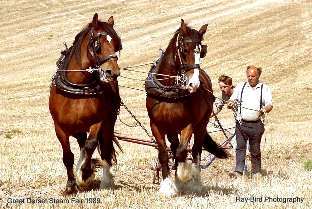 Great Dorset Steam Fair, Tarrant Hinton, Dorset 1989