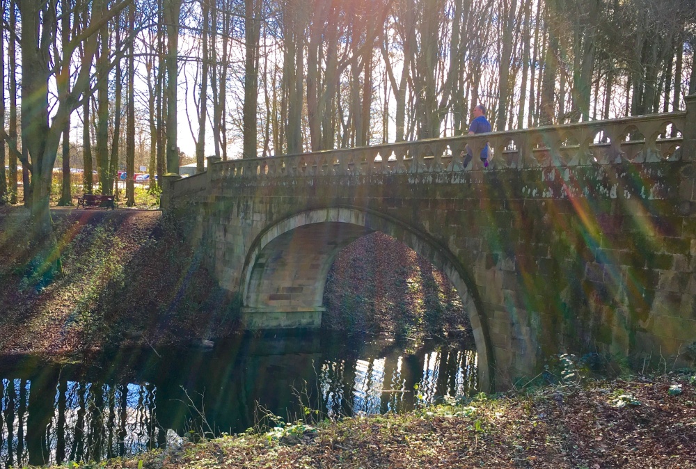Bridge at Hardwick country park