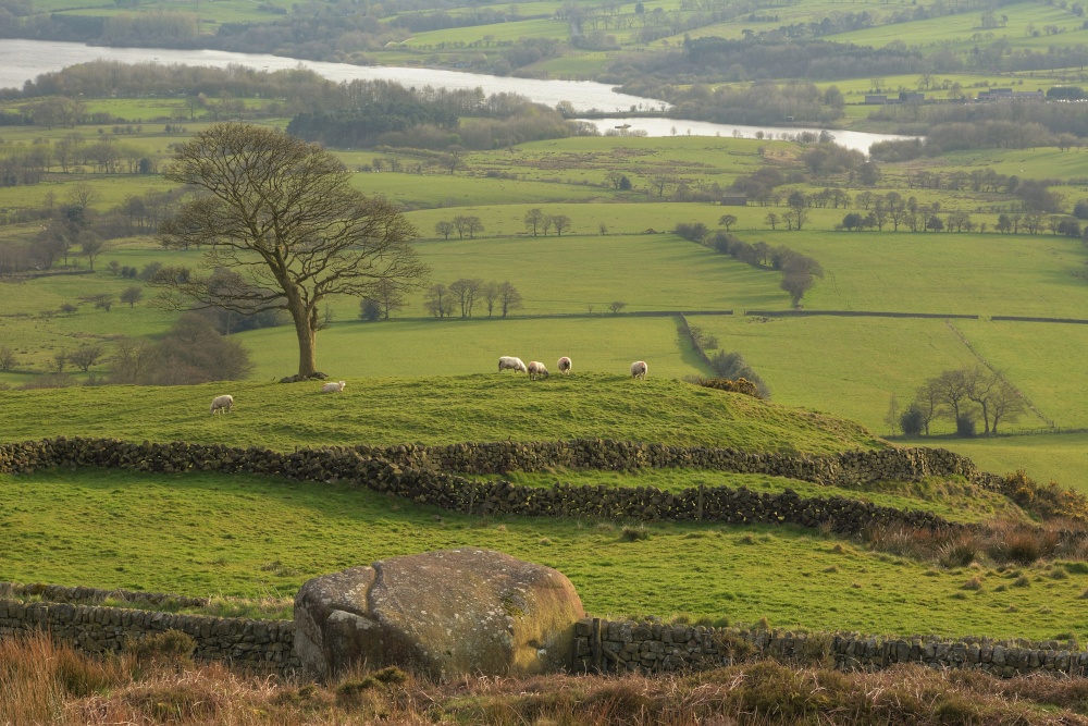 Photograph of View above Meerbrook, Staffordshire