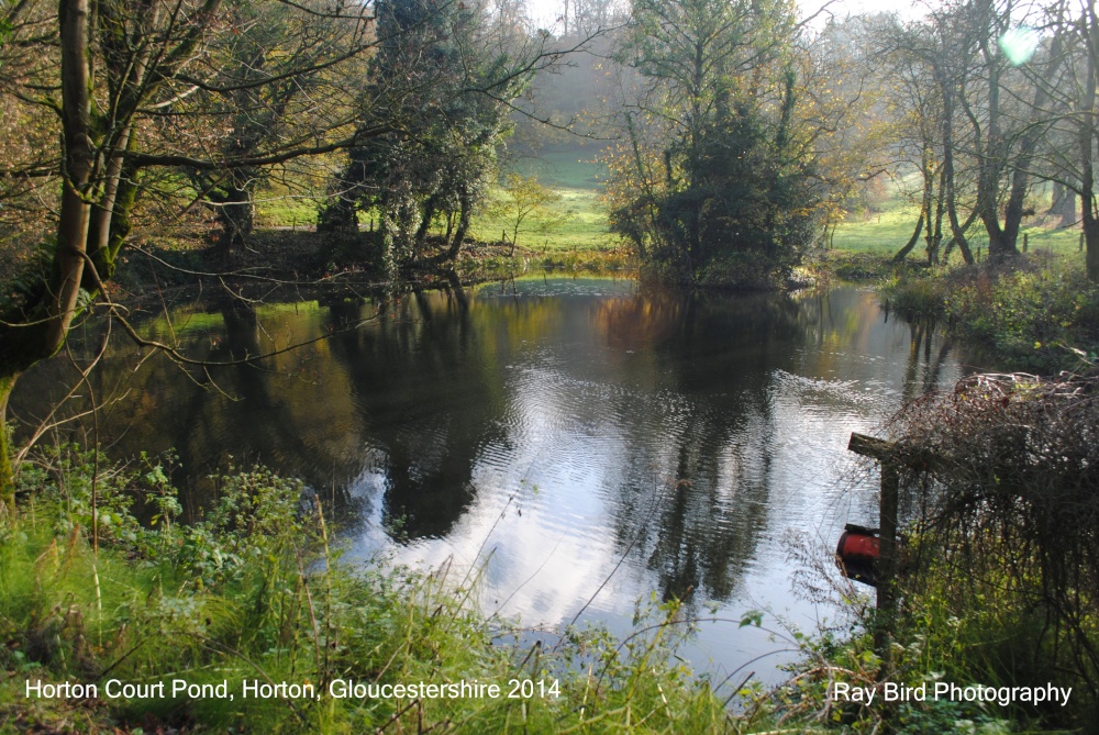 Horton Court Pond, Horton, Gloucestershire 2014